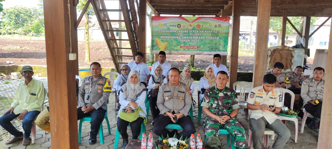 penanaman-jagung-serentak-kuartal-iv-dalam-rangka-mendukung-swasembada-pangan-tahun-2025
