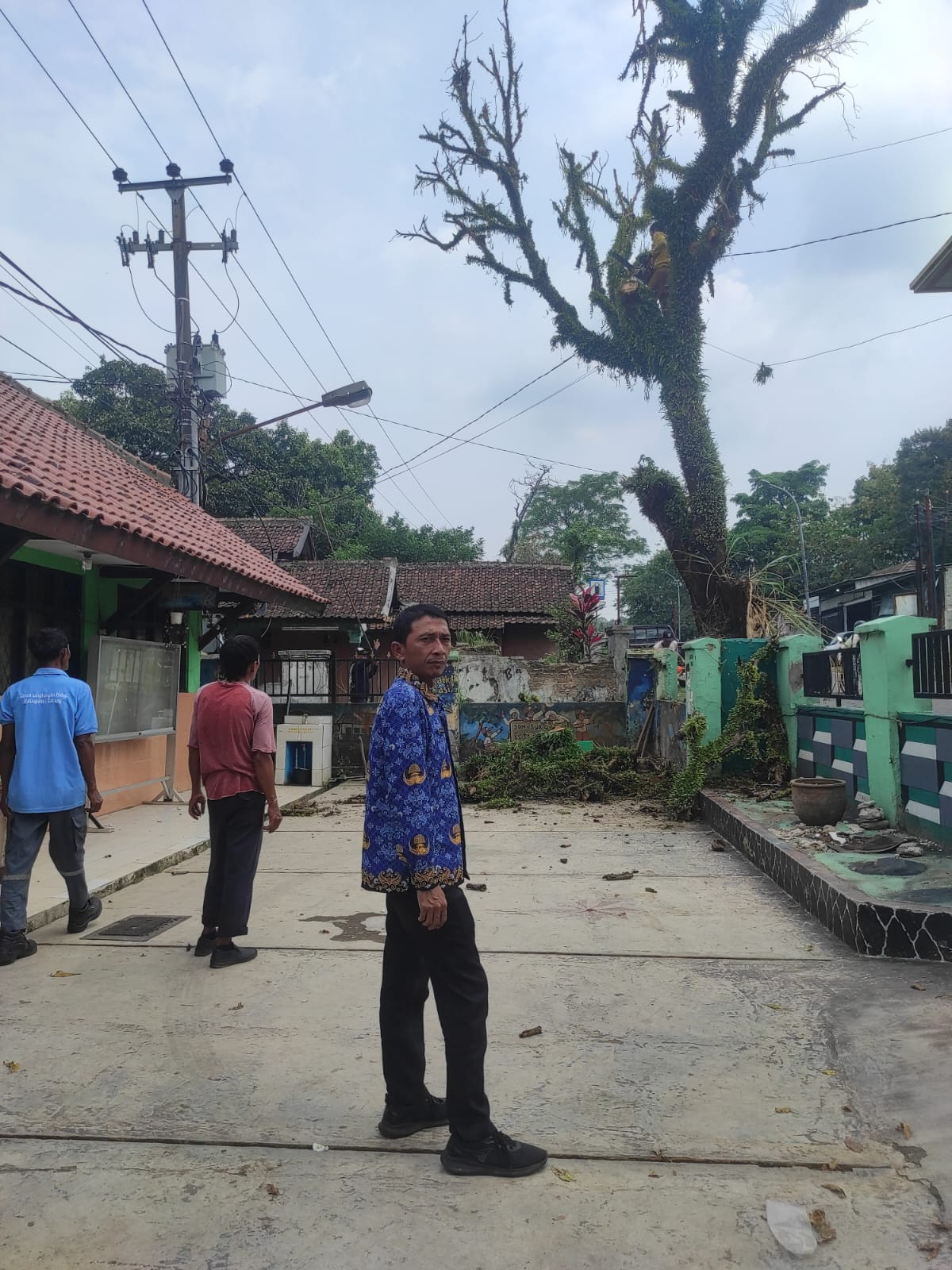 persiapan-penebangan-pohon-di-depan-upt-sdn-sukacai-1-kecamatan-baros-kabupaten-serang