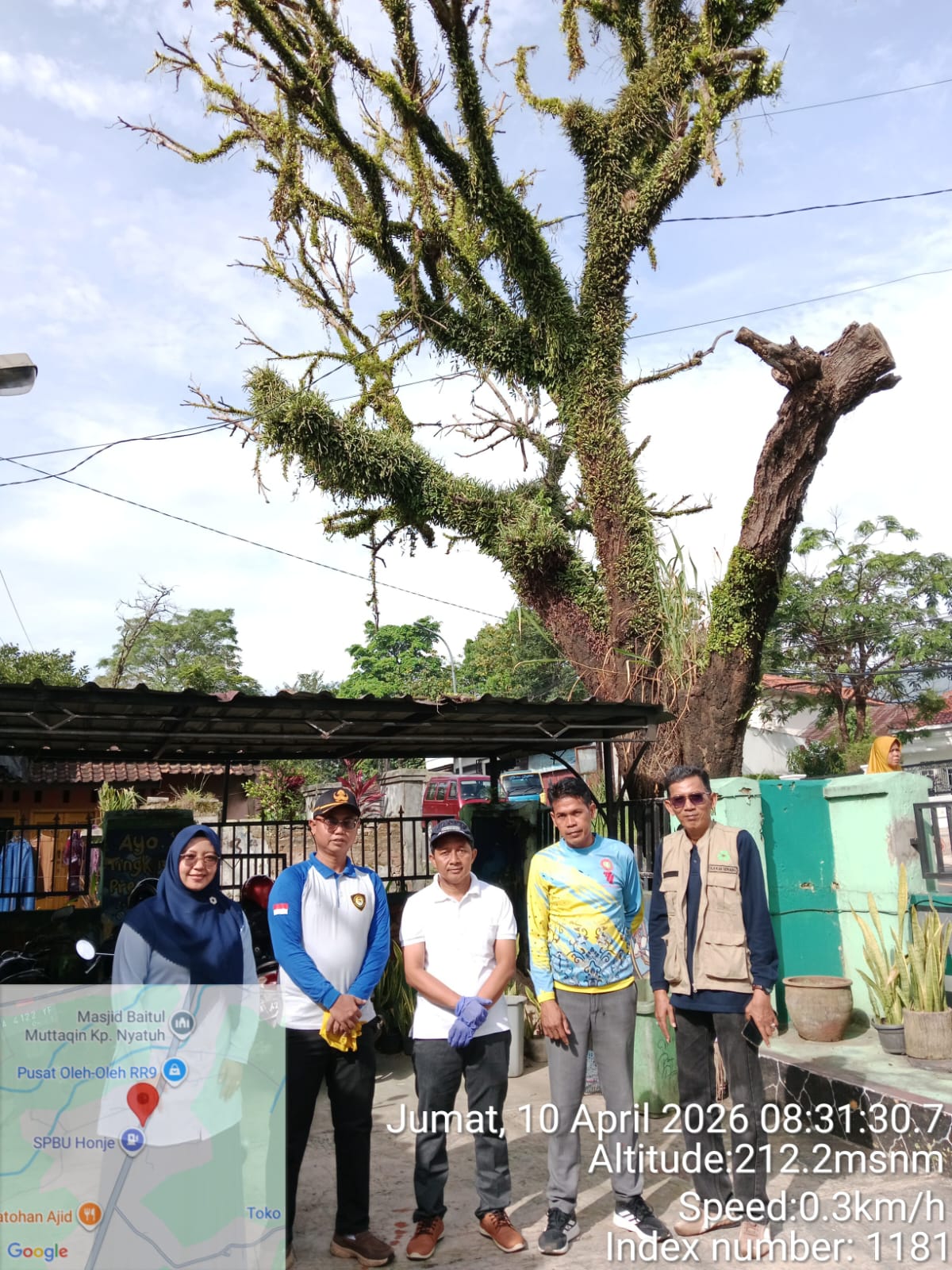 surpai-dan-koordinasi-rencana-penebangan-pohon-mati-di-depan-sdn-sukacai-1-bersama-dlh-dinas-lingkungan-hidup-kabupaten-dan-pihak-sekolah-setempat